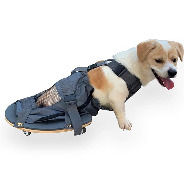 Pet Limb Paralisia Scooter