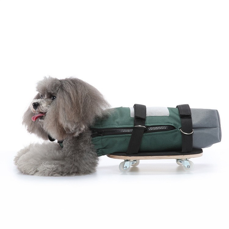 Pet Walking Aid Ezinduentzako Skateboard